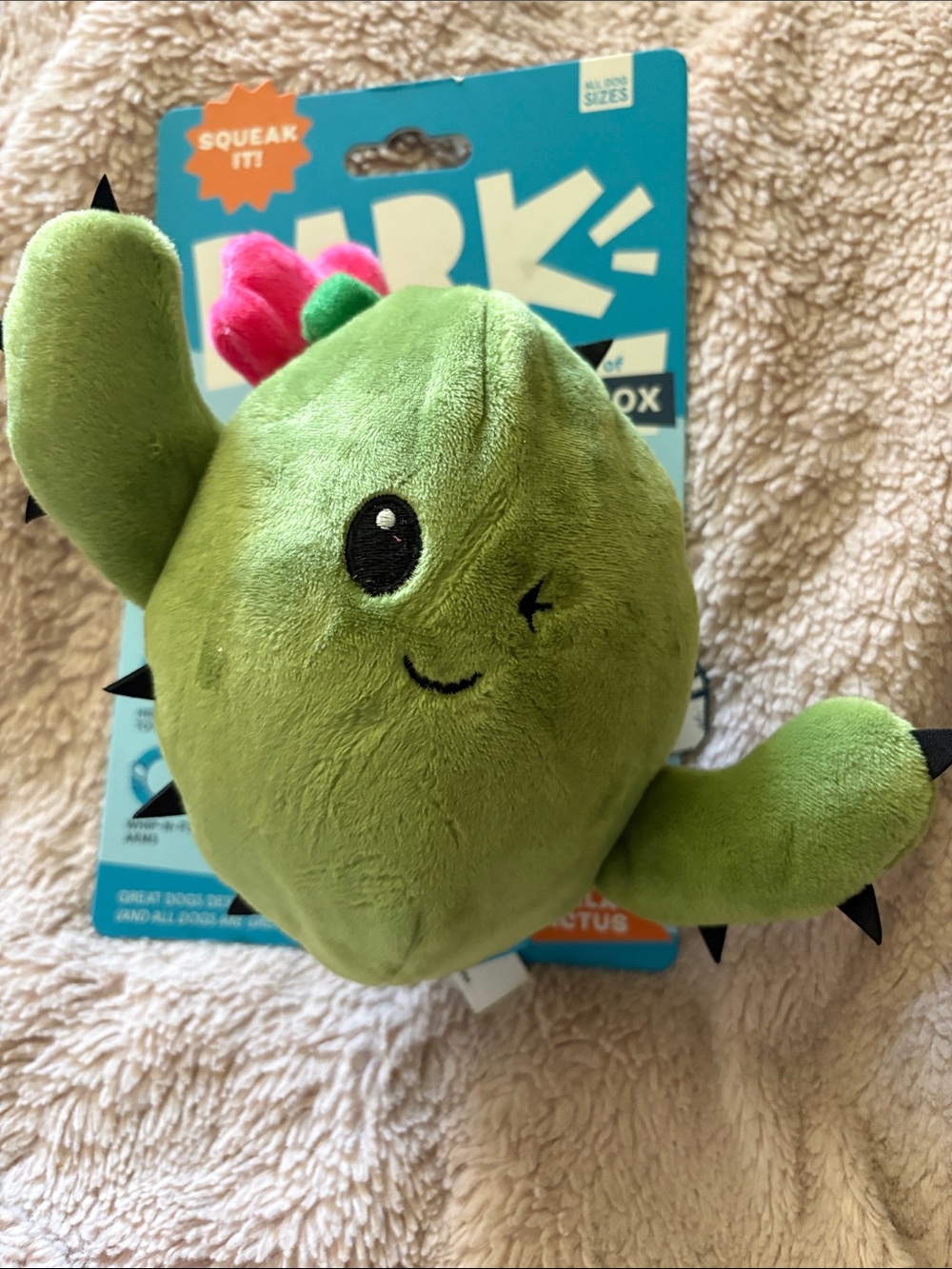 Bark Box  Green Plush Winking Cactus with Pink Blooms